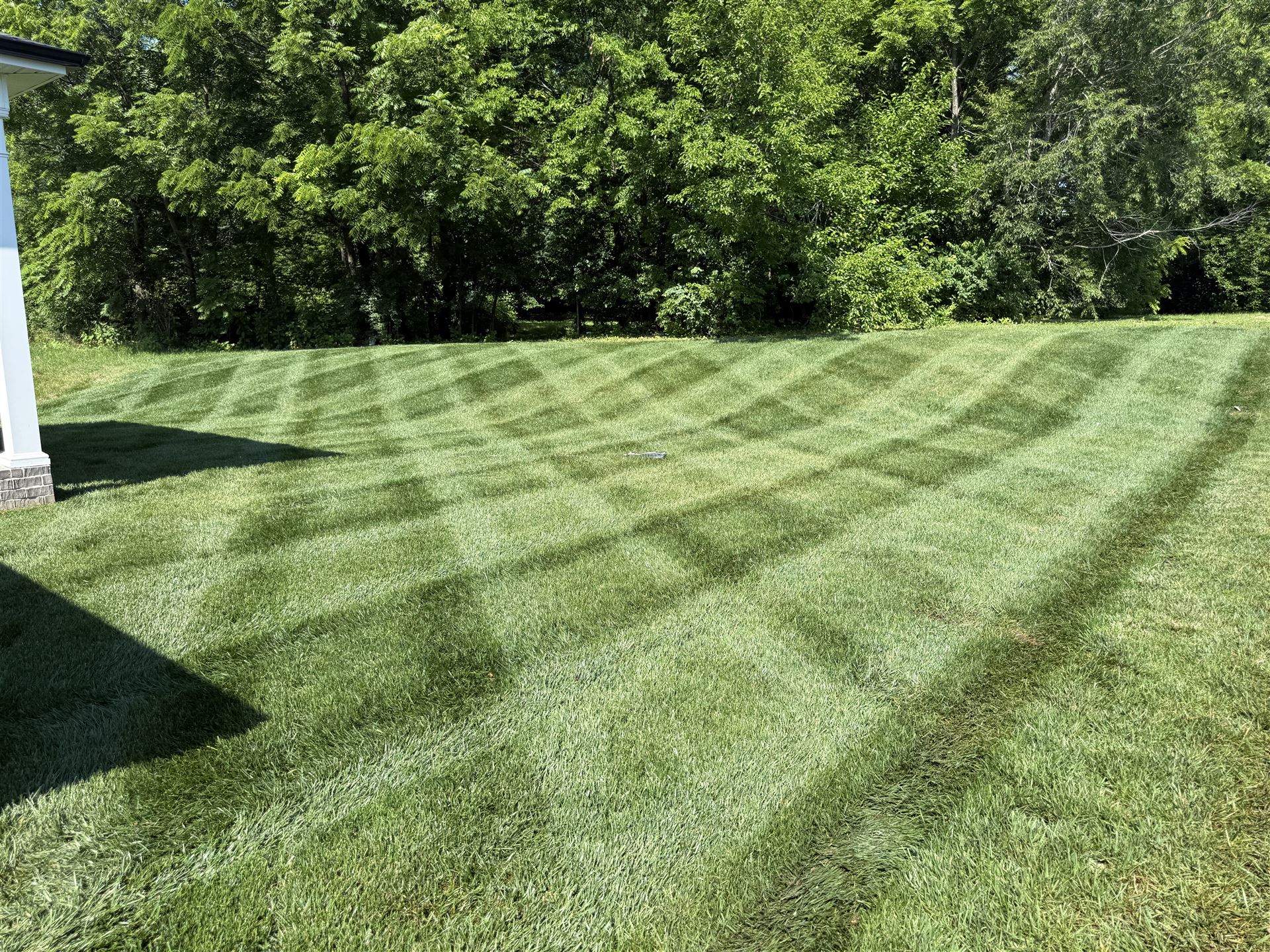 Big Chief lawn mowing with diagonal stripe pattern in South Central Kentucky